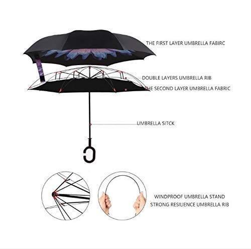 C-Shaped Umbrella